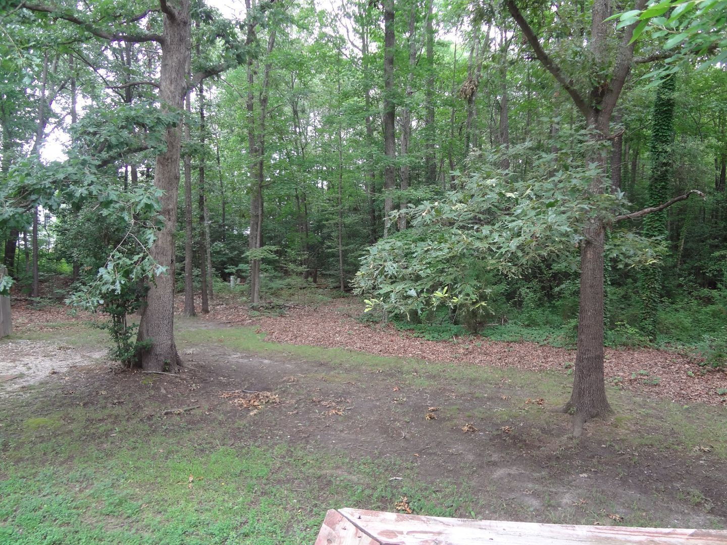 Building Photo - 10649 Genlou Rd