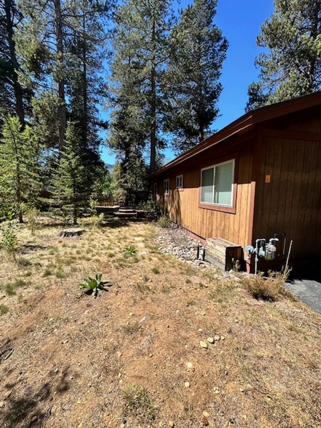 Building Photo - Lovely single level cabin avail. for a Sea...