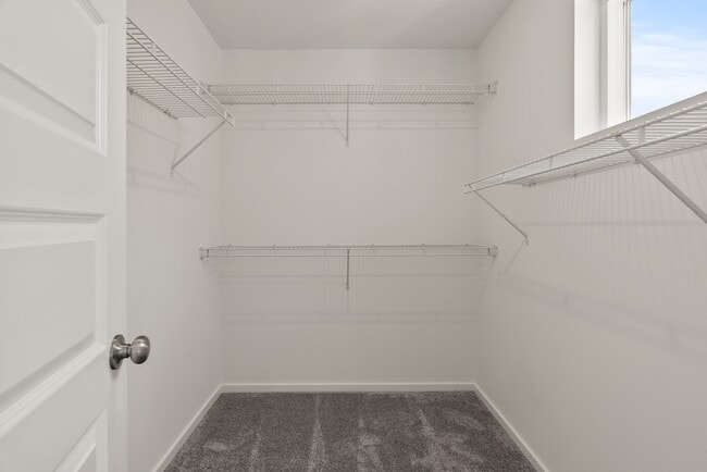 Building Photo - 2793 Talon Ln
