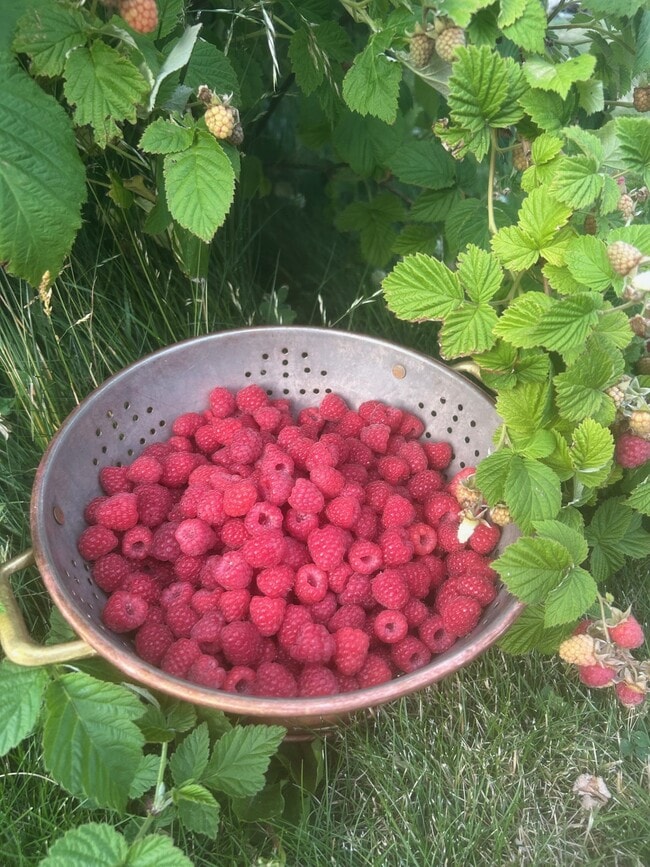 Building Photo - Madison