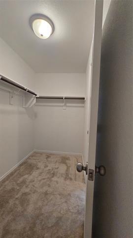 Building Photo - 1301 Lackley Dr