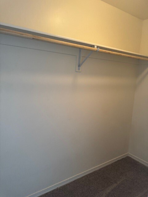 Building Photo - 1624 Paige Dr