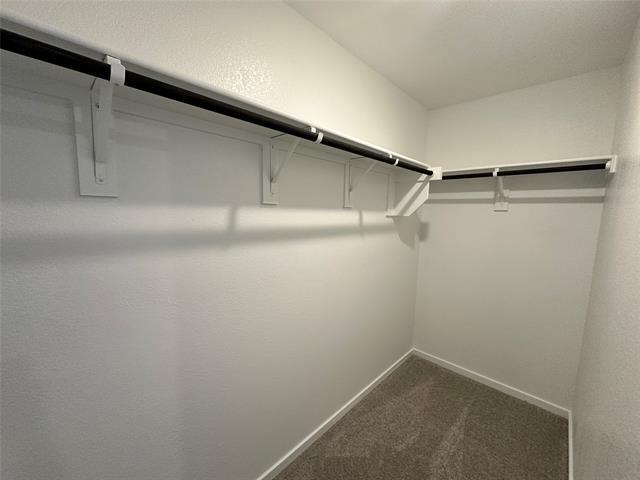 Building Photo - 3707 Spring Run Dr