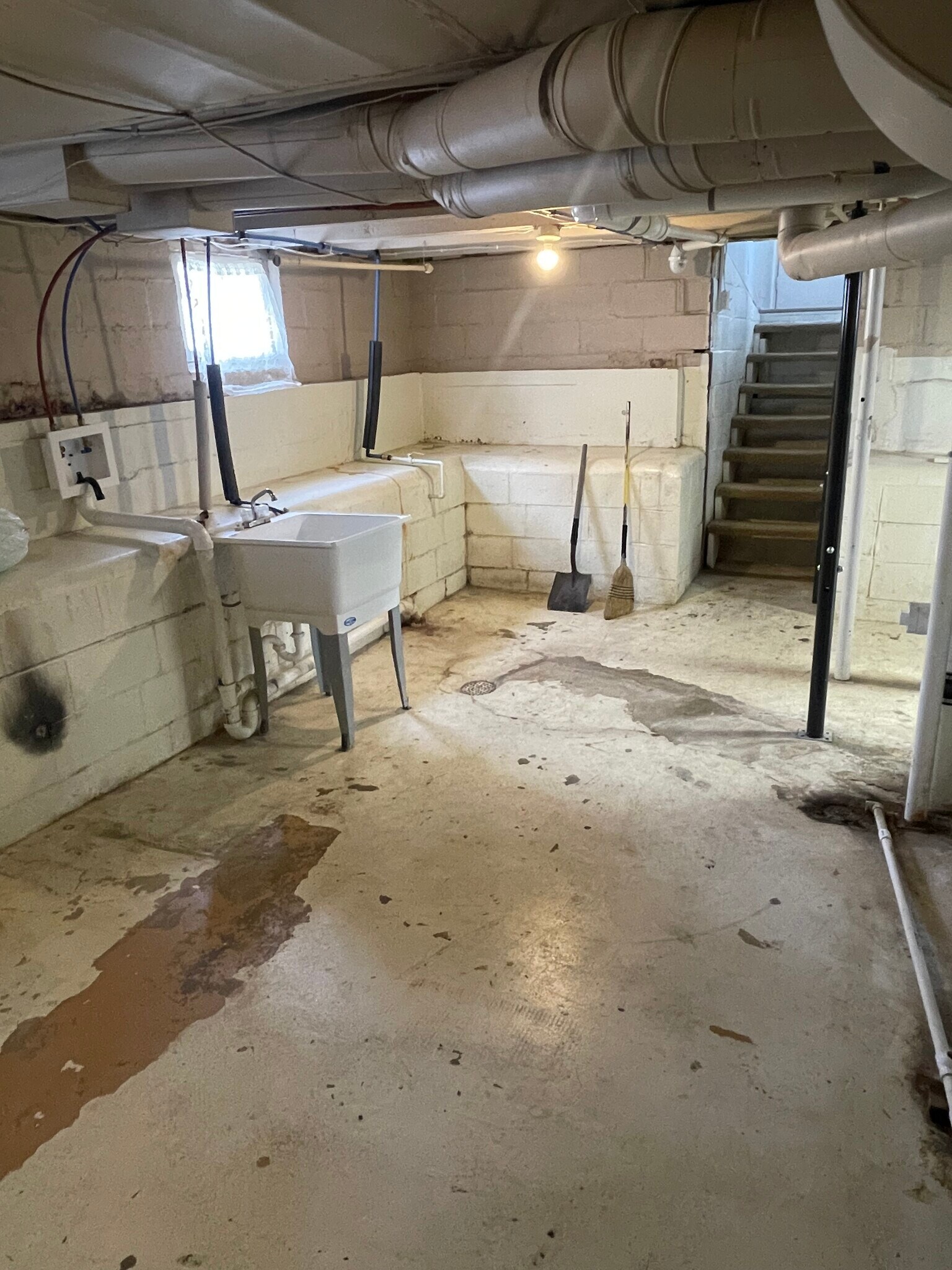 Basement - 310 W Wilson St