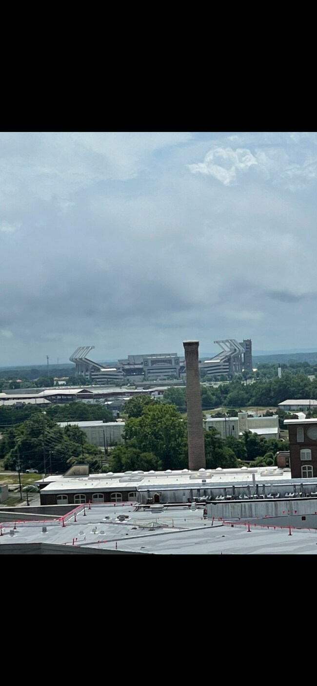 view from balcony - 1100 Wheat St