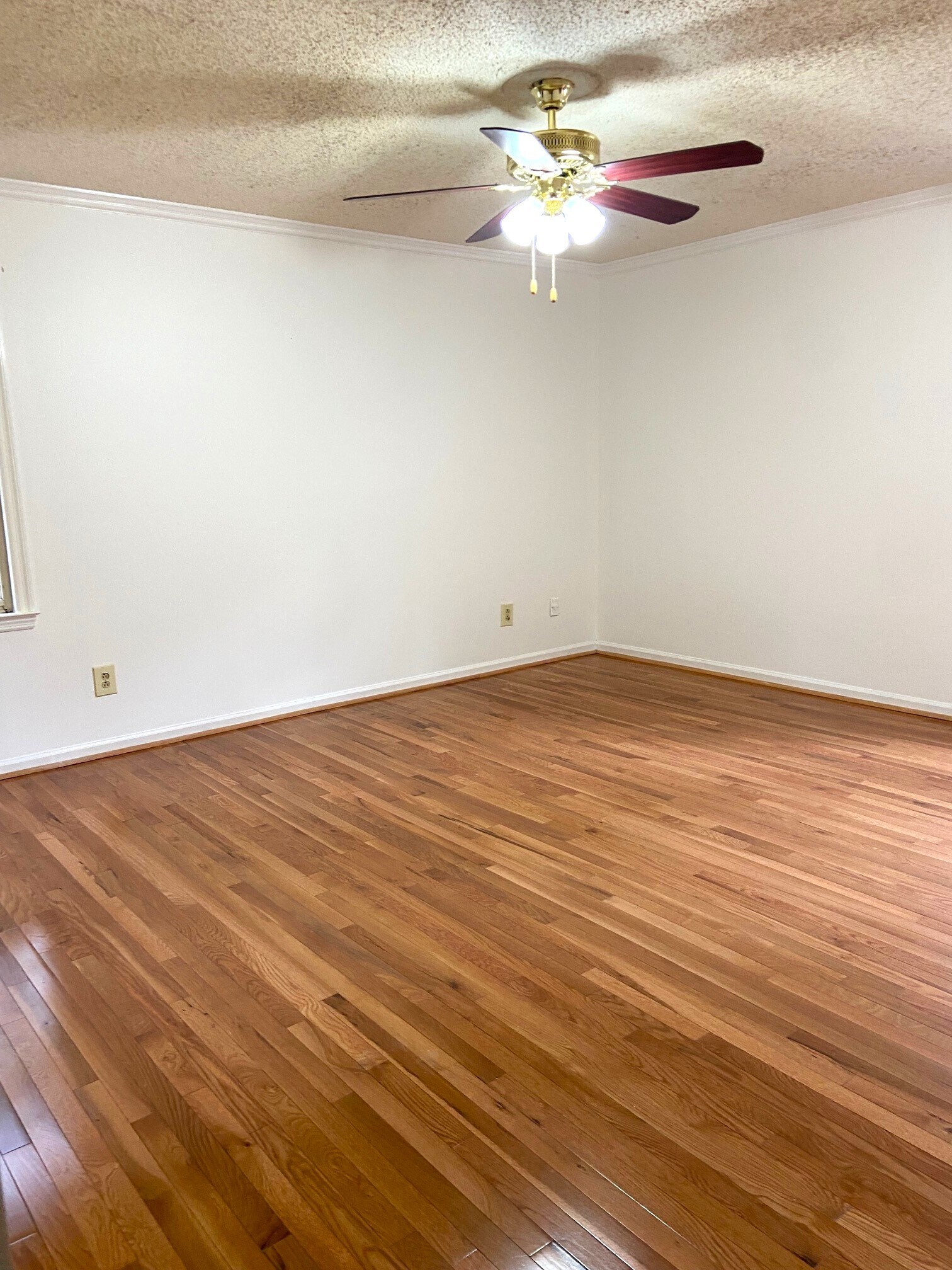 Building Photo - 223 Cambo Ter