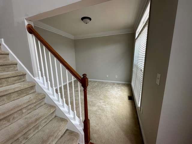 Building Photo - 3999 Elm Trace Dr