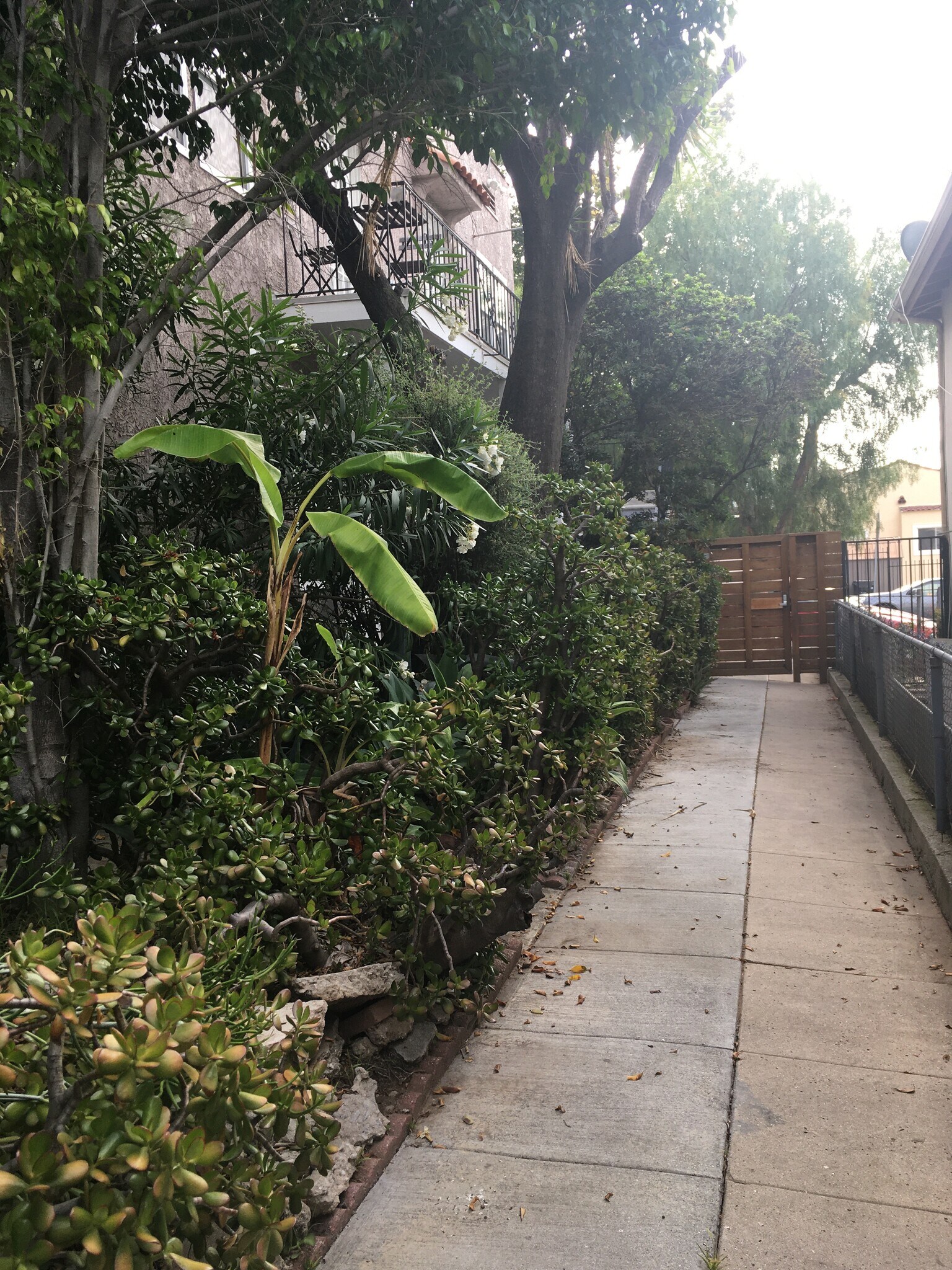 Building Photo - 2035 N Vista del Mar Ave