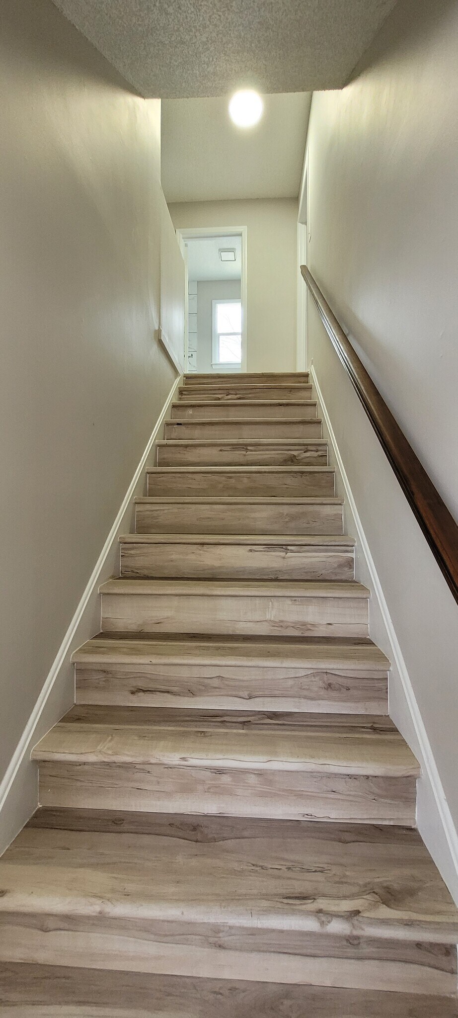 Building Photo - 4505 Southern Webbing Mill Rd