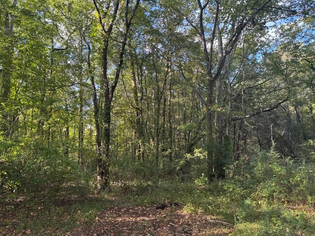 Building Photo - 130 Value Rd