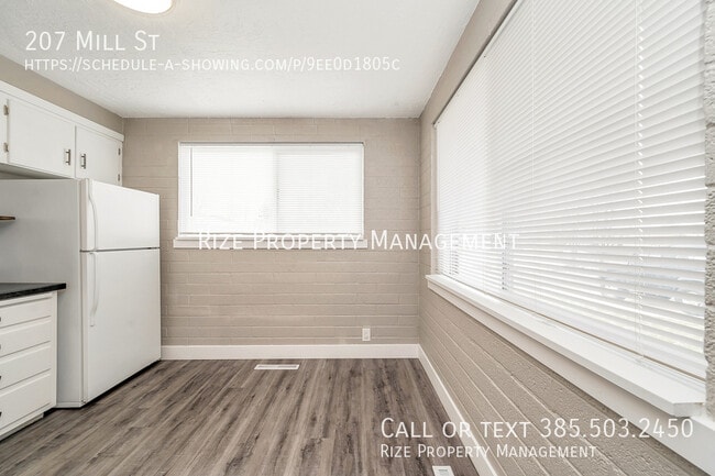 Building Photo - 207 Mill St