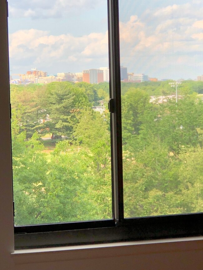 View from each BR window - 3101 S Manchester St