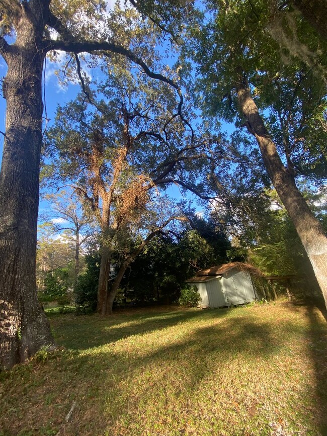 Building Photo - NEW ON THE MARKET & AVAILABLE NOW 3 BEDROO...