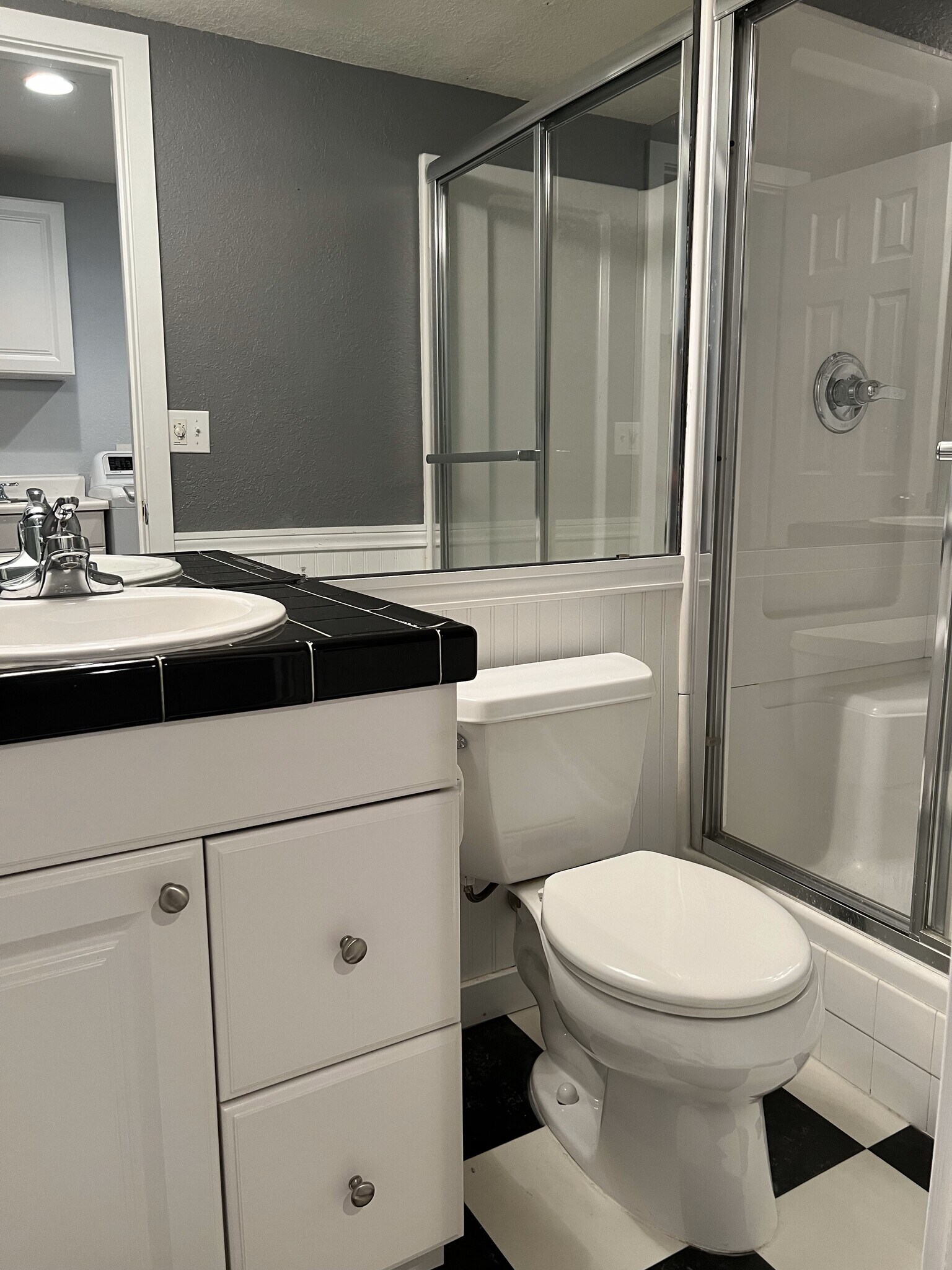 Basement Bathroom - 14239 Pikeminnow Pl