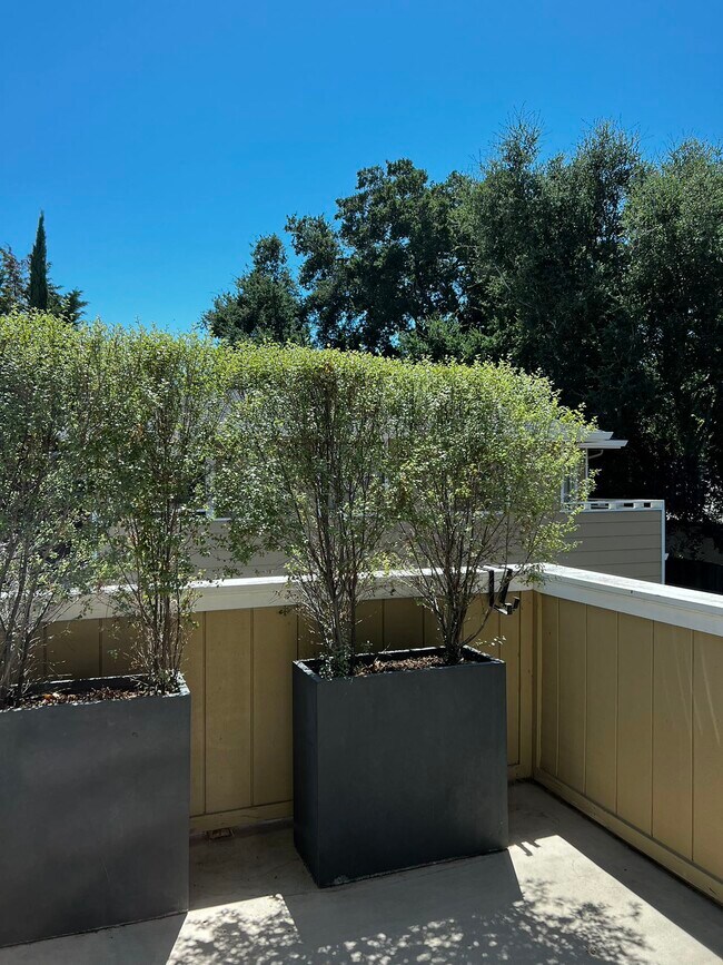 Building Photo - 580 Vista Ave