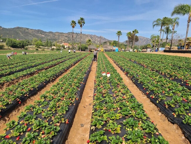 Building Photo - 2908 Lakemont Dr