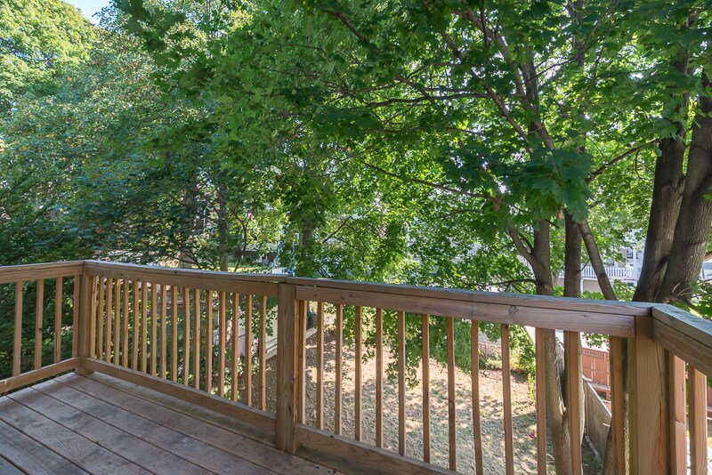 Building Photo - 31 Champney St