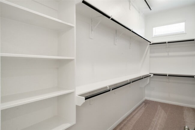 Building Photo - 607 Silver Pear Ct