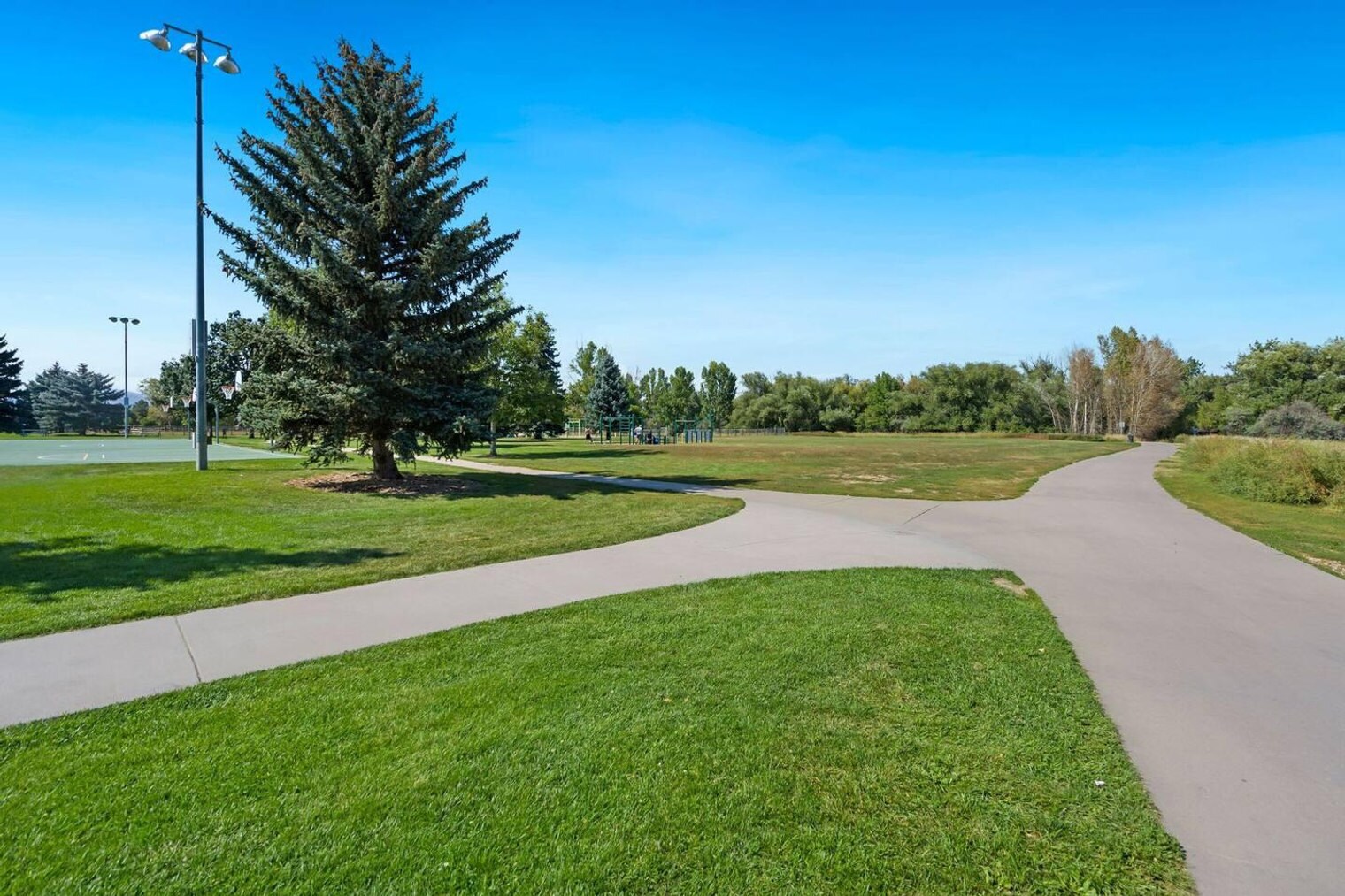 Building Photo - 330 N Howes St