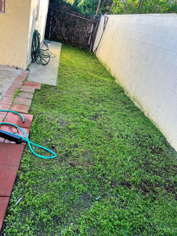 Building Photo - 430 E 184th St