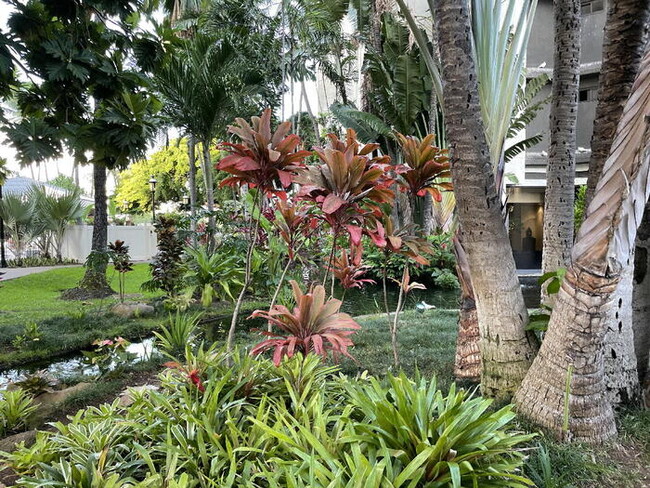 Building Photo - LILIUOKALANI GARDENS studio King Twr, sec,...
