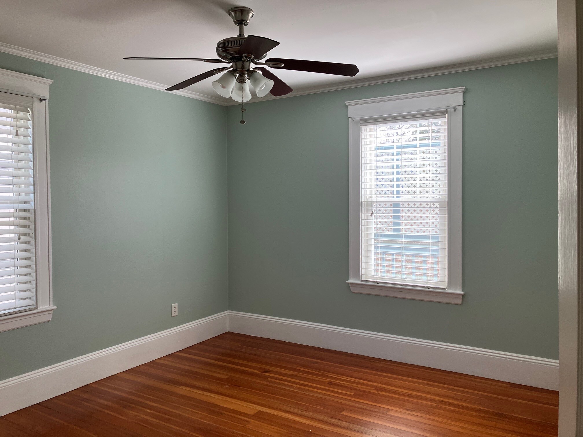 Building Photo - 43 Roslyn St