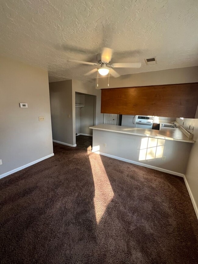 Building Photo - 2 BD, 2 BA Desirable Duplex in Martin!