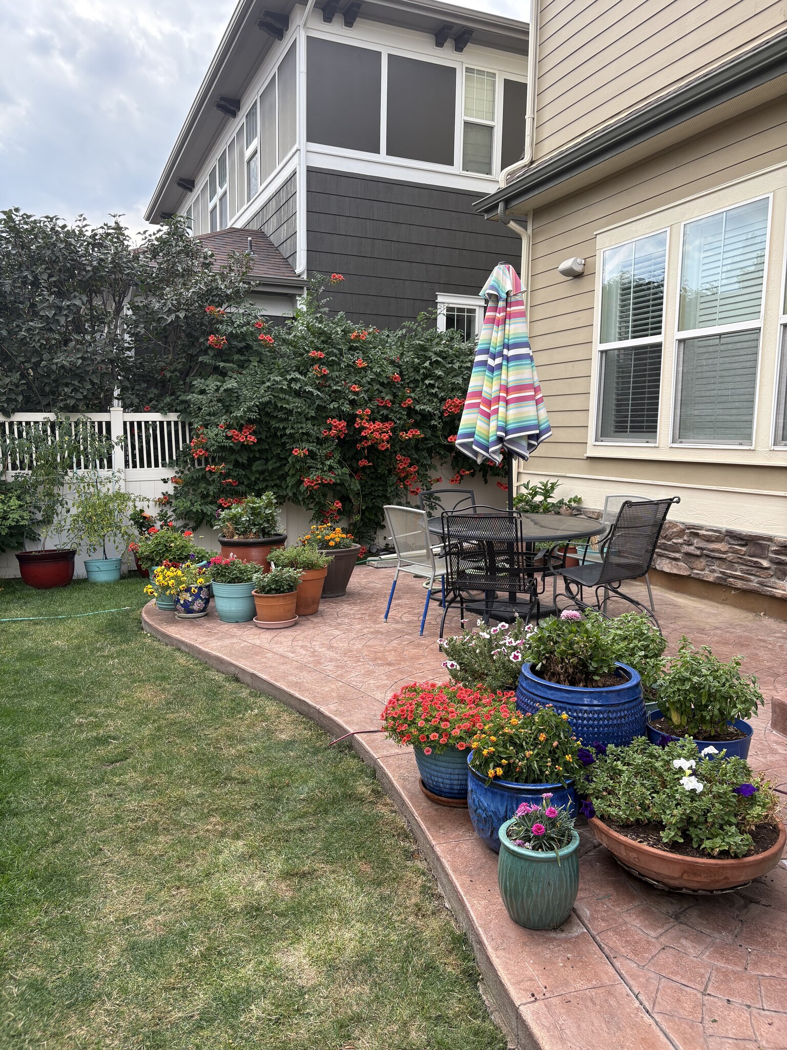 Deck & yard - 11666 Osceola St