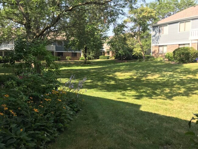 Building Photo - 232 Driftwood Ln