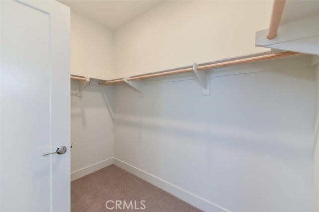Building Photo - 113 Novel