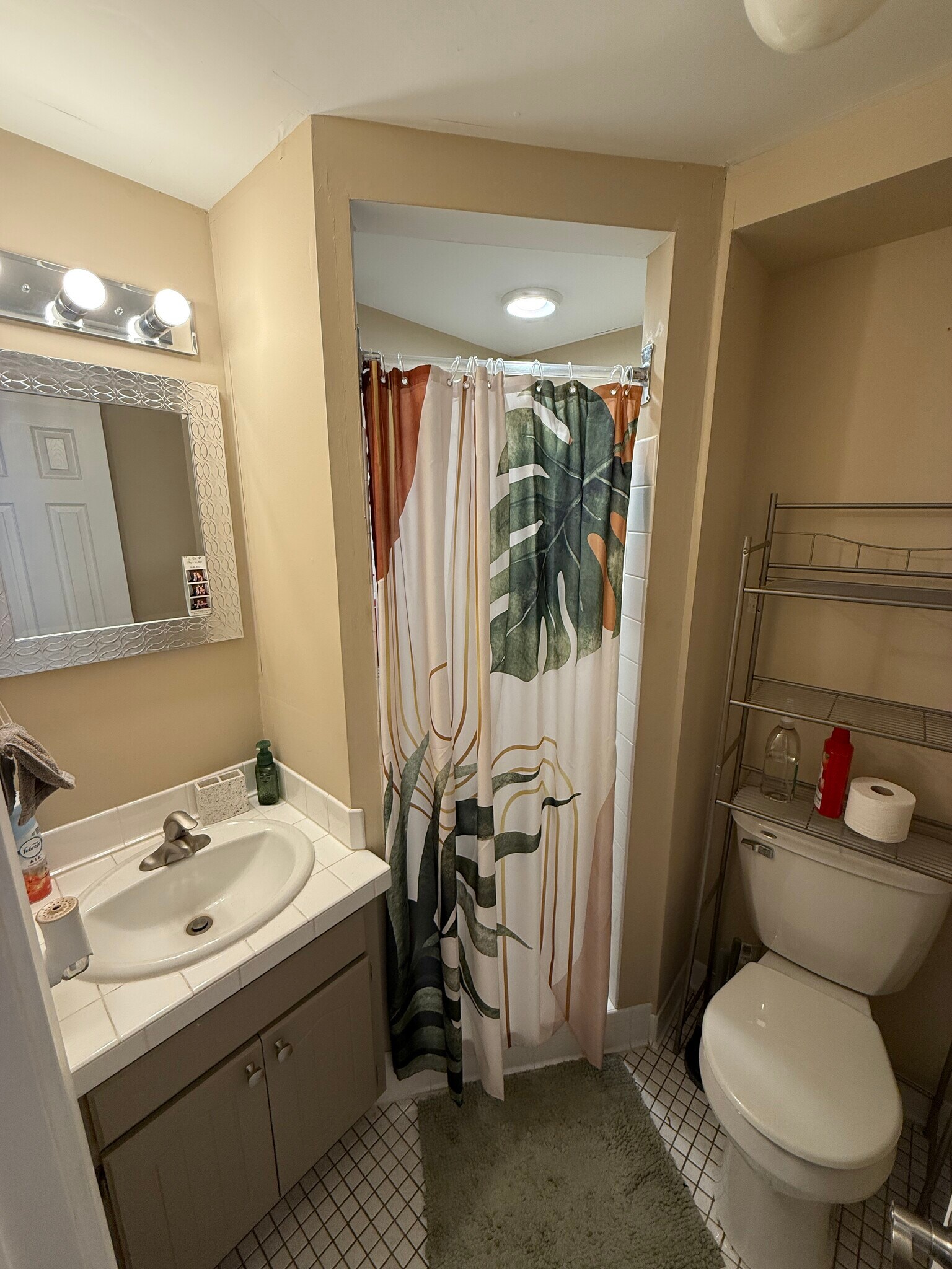 3rd bath downstairs - 15 Stinson Blvd