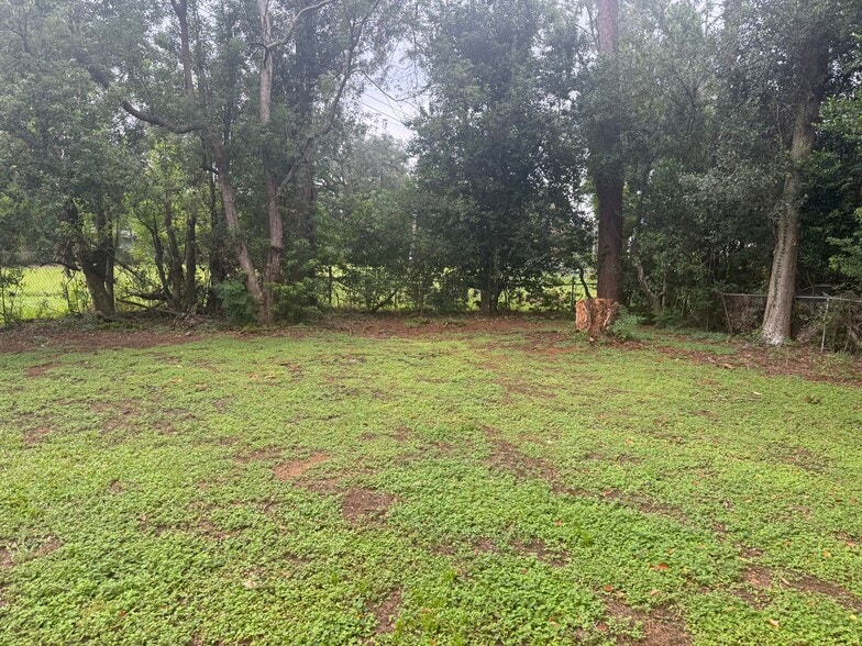 Back yard - 1724 Pepper Dr