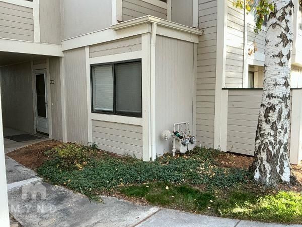 Primary Photo - 2415 Sycamore Glen Dr