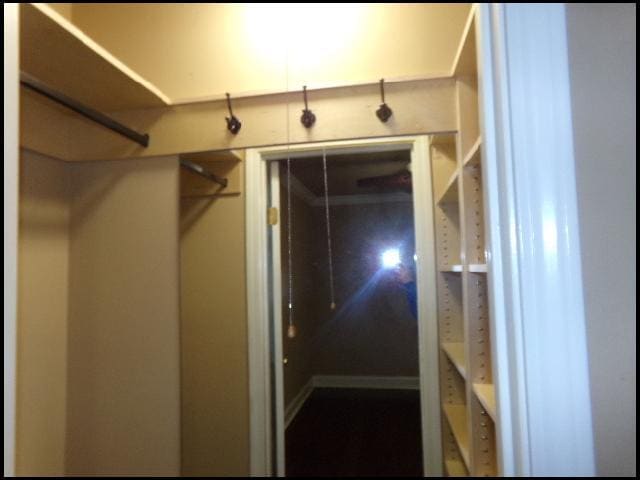 Building Photo - 122 Pin Oak Cove