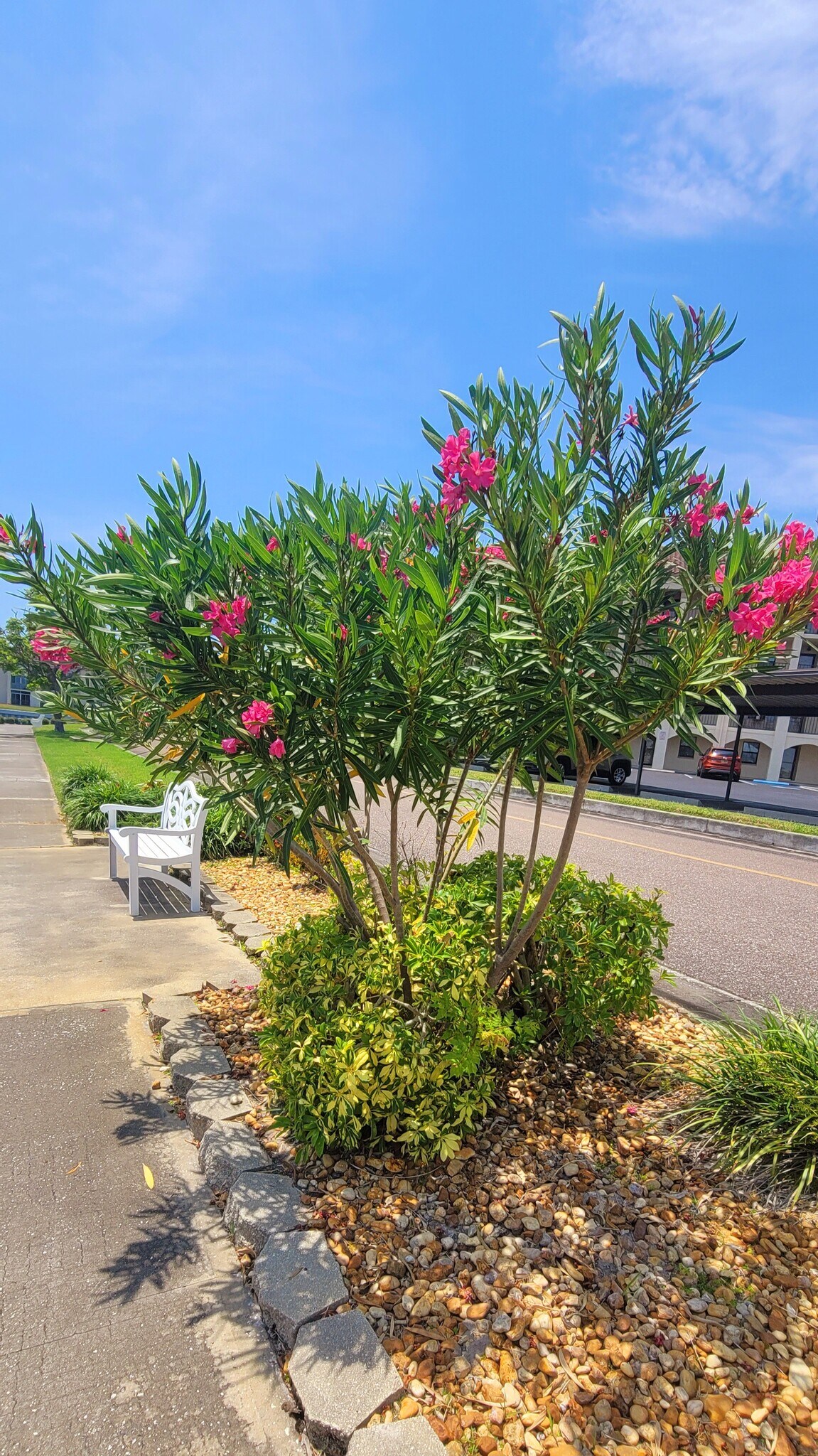 Building Photo - 19029 US Highway 19 N
