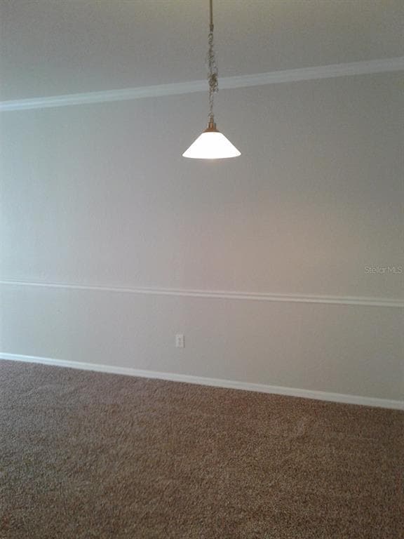 Building Photo - 3757 Conroy Rd