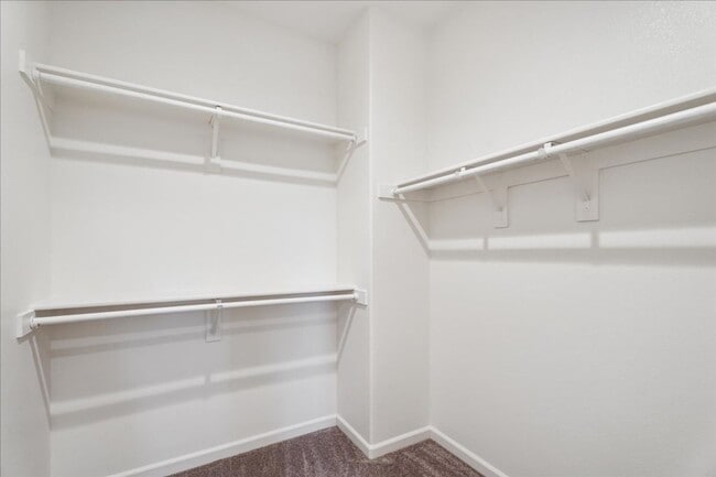 Building Photo - 4306 Adriatic Sea Way