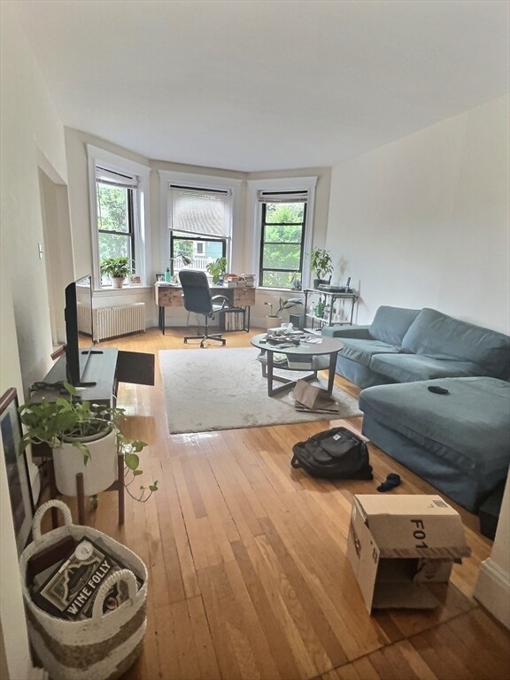 Primary Photo - 397 Harvard St