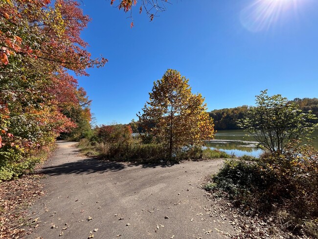 Building Photo - 7402 Golden Horseshoe Ct