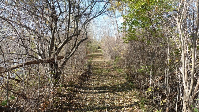 Building Photo - 11719 21 Mile Rd