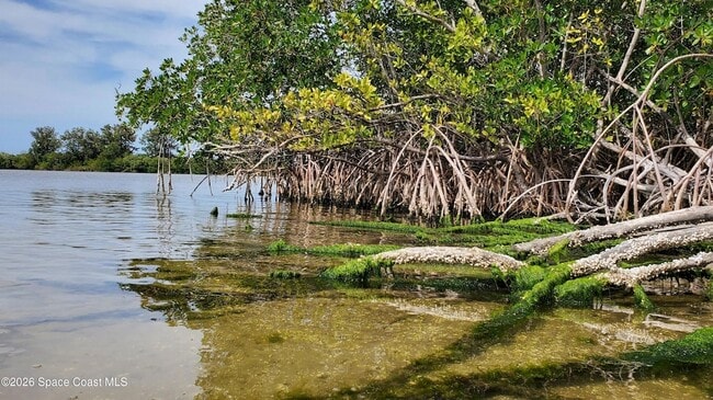 Building Photo - 8401 N Atlantic Ave