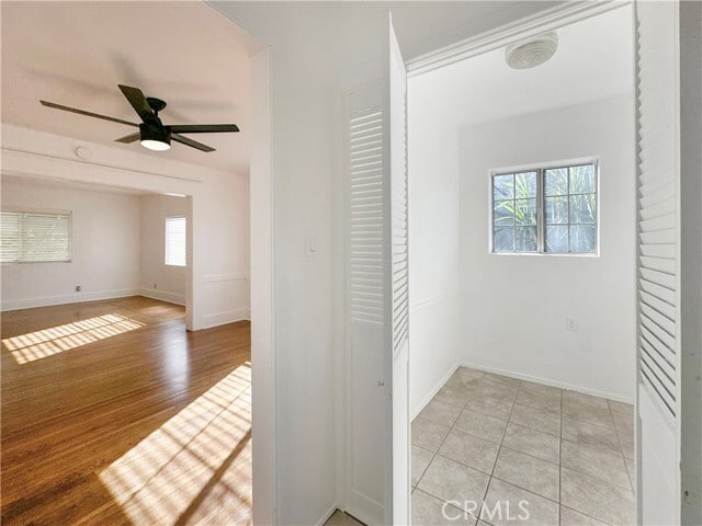 Building Photo - 209 Elm St