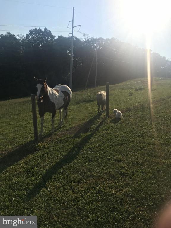 Building Photo - 585 Thomas Armor Dr