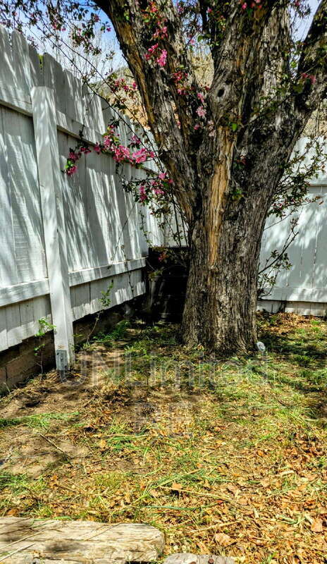 Building Photo - 3565 N Manor Rd