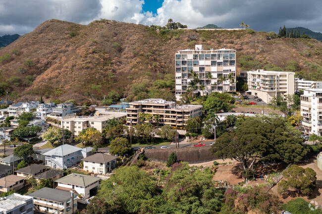 Aerial Photo - Iolani Palms