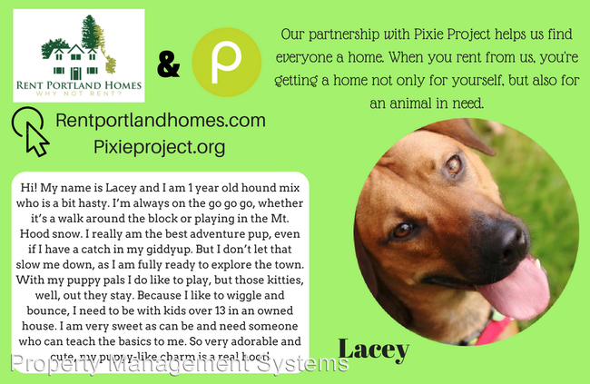 Building Photo - 19195 SE Yamhill St