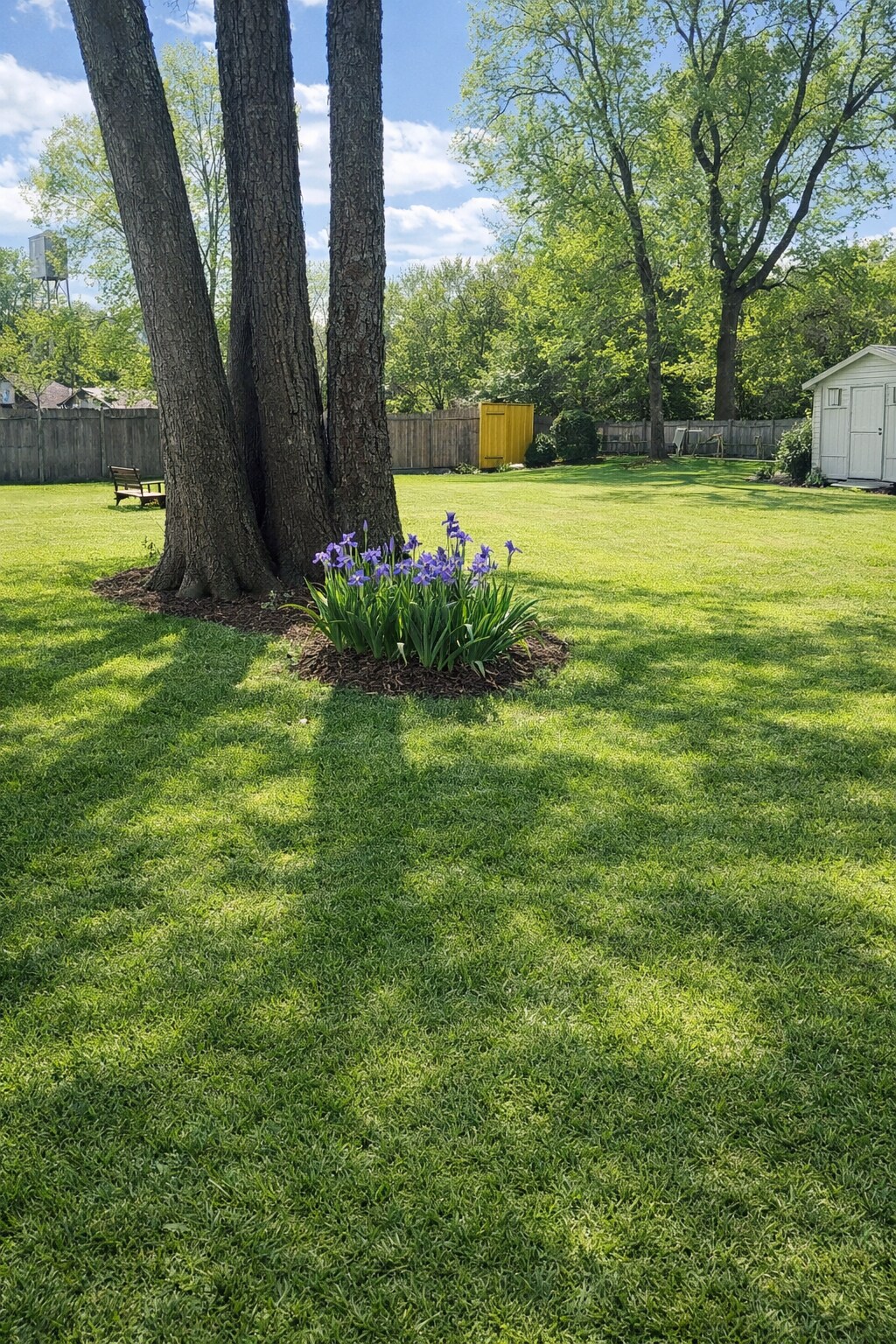 Backyard - 1029 Washington Ave