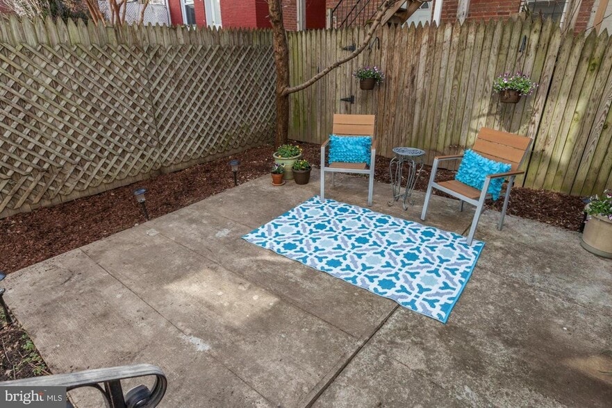 Backyard/Garden Area - 776 Harvard St NW