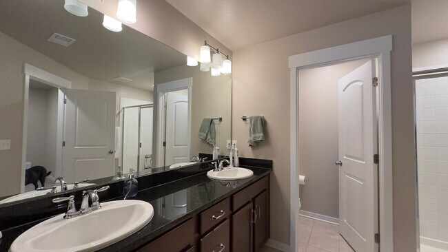 Building Photo - Great Townhome in Timnath Lakes
