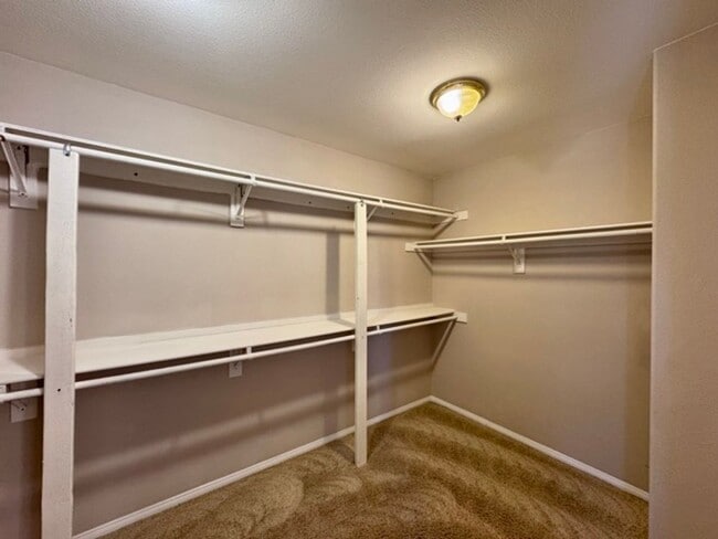 Building Photo - Beautiful 4 bedroom Temecula home sitting ...